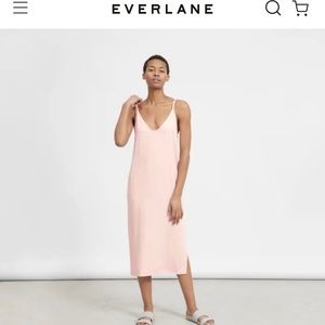 Everlane Japanese Go Weave Slip Dress in Rose